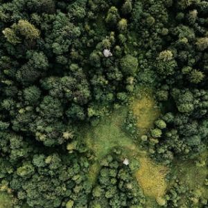 Sustainability Obligations