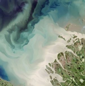 Climate Purposed NDA Terms (Confidentiality Agreement)