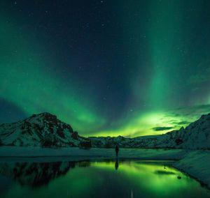 Green Company Articles