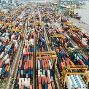 Due diligence for sustainable supply chains