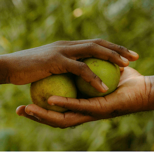 Shared responsibilites in terms of Forecasts/Prices/Terms of payment