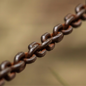 Office of the NSW Anti-Slavery Commissioner (NSW OASC) GRS Model Contract Clauses – Heightened